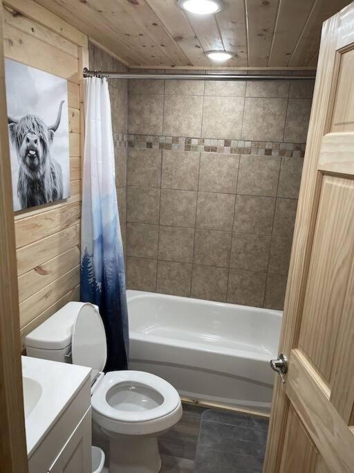 Creekside 3 Bedroom 2 Bath Cabin On Private Creek Banner Elk Eksteriør billede